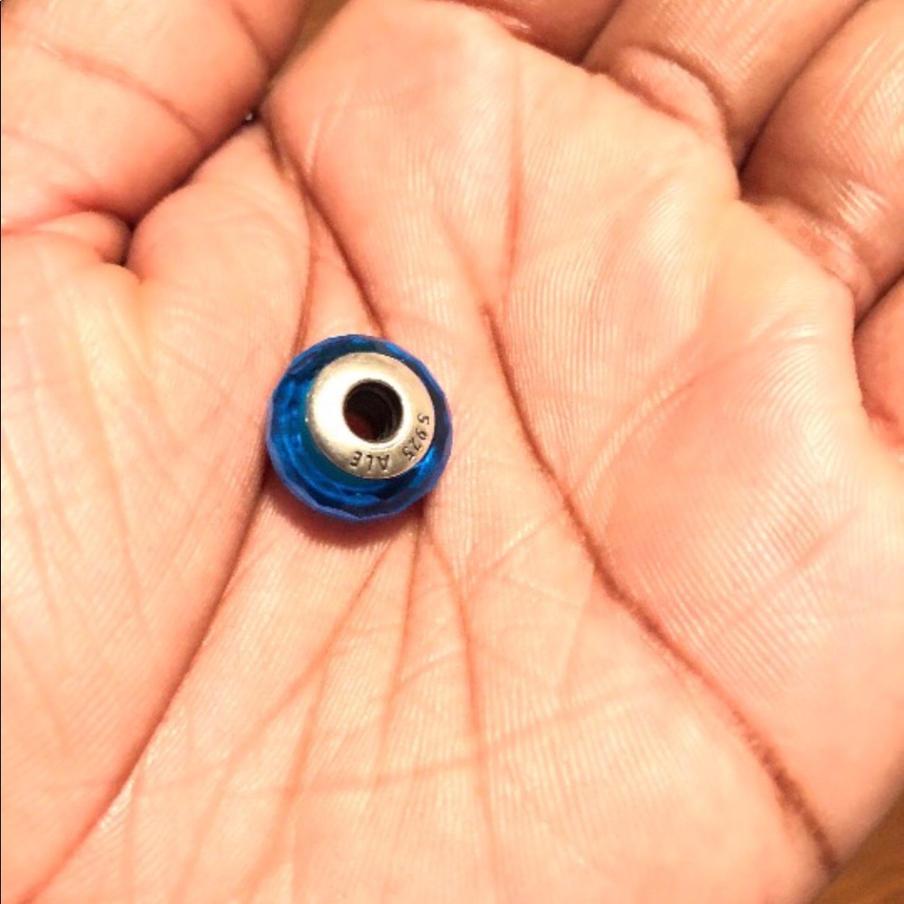 Pandora charms